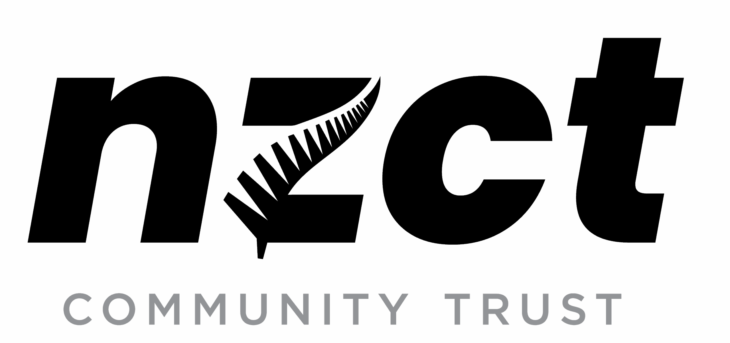 NZCT logo