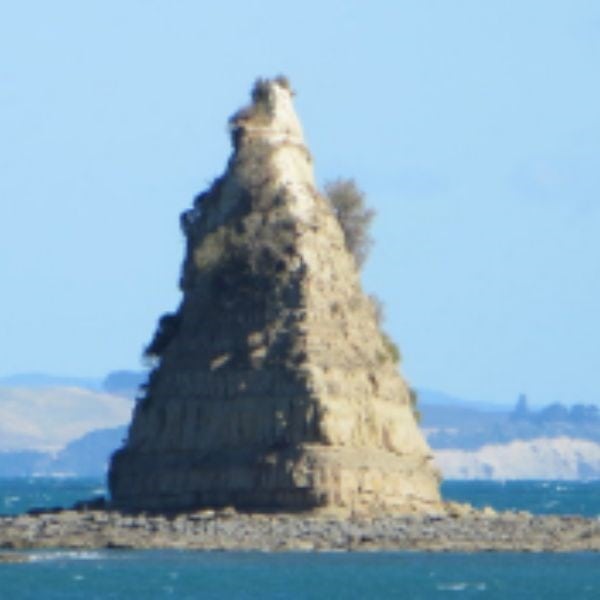 Matakatia check point